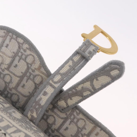 Christian Dior Trotter Canvas saddle Body Bag Gray Gold Tone Auth 211556V