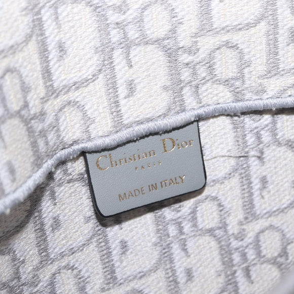 Christian Dior Trotter Canvas saddle Body Bag Gray Gold Tone Auth 211556V