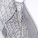 Christian Dior Trotter Canvas saddle Body Bag Gray Gold Tone Auth 211556V-21