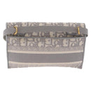 Christian Dior Trotter Canvas saddle Body Bag Gray Gold Tone Auth 211556V-3