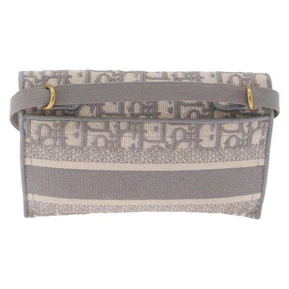 Christian Dior Trotter Canvas saddle Body Bag Gray Gold Tone Auth 211556V