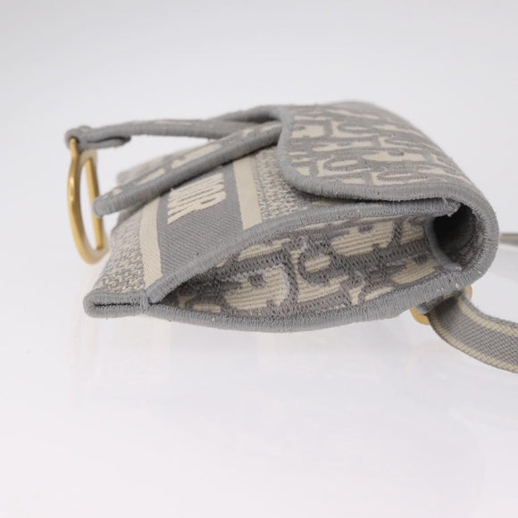 Christian Dior Trotter Canvas saddle Body Bag Gray Gold Tone Auth 211556V