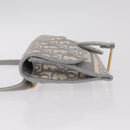 Christian Dior Trotter Canvas saddle Body Bag Gray Gold Tone Auth 211556V-5