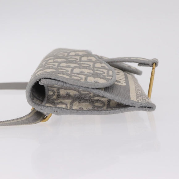 Christian Dior Trotter Canvas saddle Body Bag Gray Gold Tone Auth 211556V