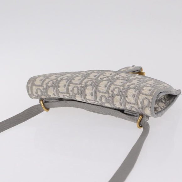 Christian Dior Trotter Canvas saddle Body Bag Gray Gold Tone Auth 211556V