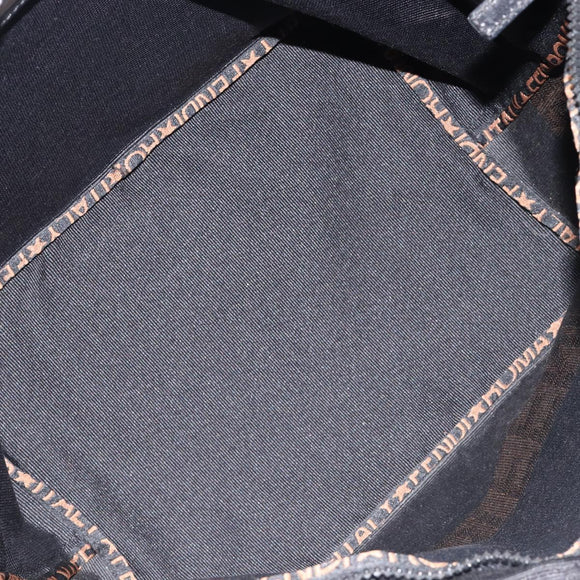 FENDI Hand Bag Canvas Black Silver Auth 211592