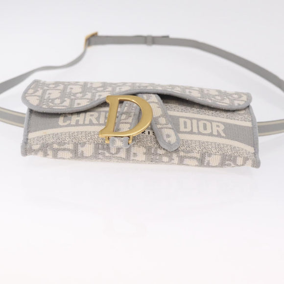 Christian Dior Trotter Canvas Saddle Body Bag Gray Gold Auth 211647V