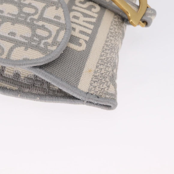 Christian Dior Trotter Canvas Saddle Body Bag Gray Gold Auth 211647V