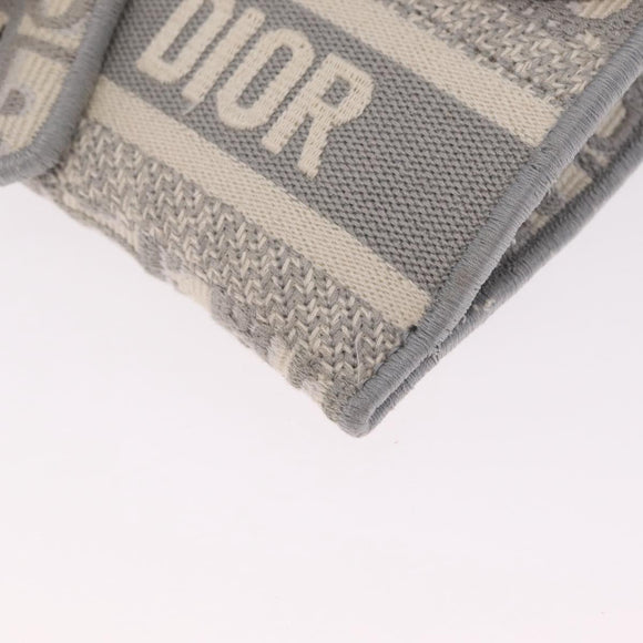 Christian Dior Trotter Canvas Saddle Body Bag Gray Gold Auth 211647V