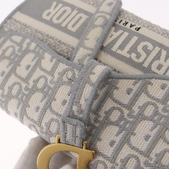 Christian Dior Trotter Canvas Saddle Body Bag Gray Gold Auth 211647V