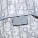 Christian Dior Trotter Canvas Saddle Body Bag Gray Gold Auth 211647V-19