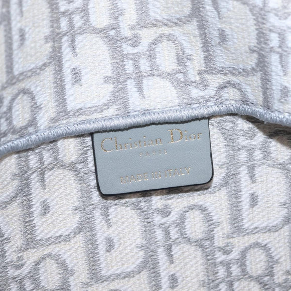 Christian Dior Trotter Canvas Saddle Body Bag Gray Gold Auth 211647V