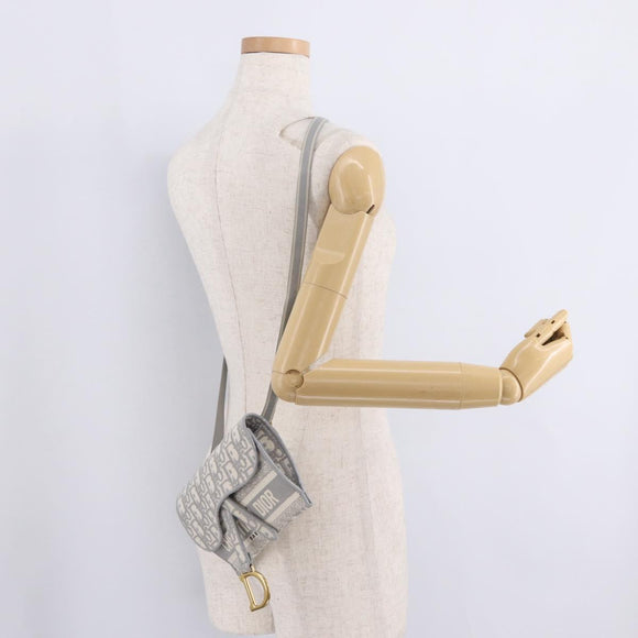 Christian Dior Trotter Canvas Saddle Body Bag Gray Gold Auth 211647V