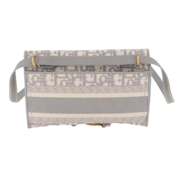 Christian Dior Trotter Canvas Saddle Body Bag Gray Gold Auth 211647V