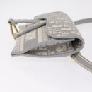 Christian Dior Trotter Canvas Saddle Body Bag Gray Gold Auth 211647V-4
