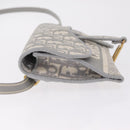Christian Dior Trotter Canvas Saddle Body Bag Gray Gold Auth 211647V-5