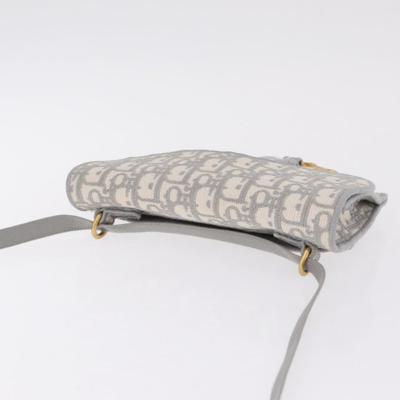 Christian Dior Trotter Canvas Saddle Body Bag Gray Gold Auth 211647V