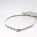 Christian Dior Trotter Canvas Saddle Body Bag Gray Gold Auth 211647V-7
