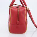 LOEWE × Ghibli Howl's Amazon 28 The Witch Of The Wasteland 2way Auth 212446SM-4