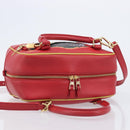 LOEWE × Ghibli Howl's Amazon 28 The Witch Of The Wasteland 2way Auth 212446SM-6