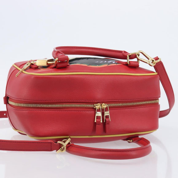 LOEWE × Ghibli Howl's Amazon 28 The Witch Of The Wasteland 2way Auth 212446SM