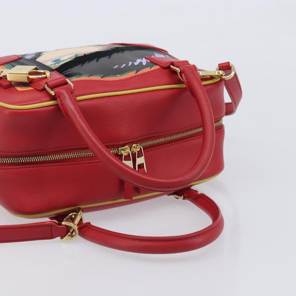 LOEWE × Ghibli Howl's Amazon 28 The Witch Of The Wasteland 2way Auth 212446SM