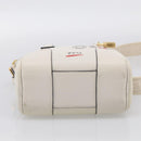 LOEWE Amazona 16 Hand Bag Leather White Gold Auth 212769SM-12