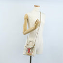 Christian Dior Lady Dior Dioramar Bag Calf Skin 2way White Gold Auth 213042M-31