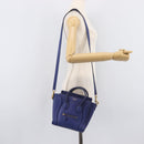 CELINE Luggage Nano Shopper Hand Bag Leather 2way Blue Gold Auth 213458A-29