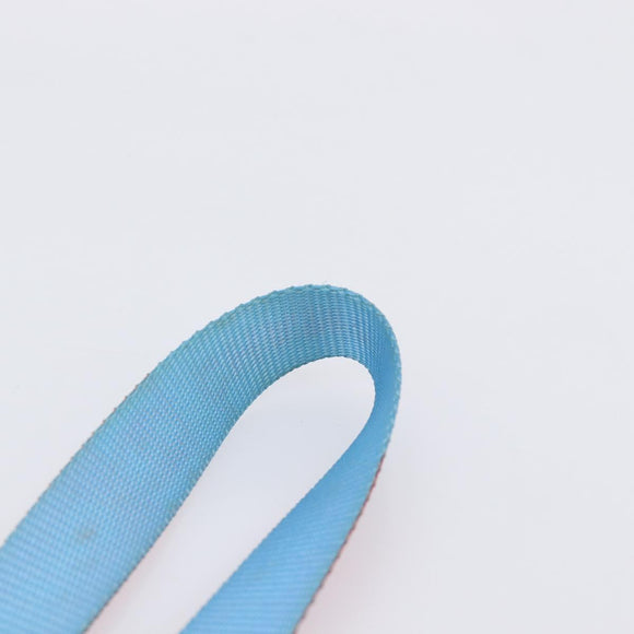 CHANEL Sports Line Neck Strap Canvas Light Blue Silver CC Auth 213824V