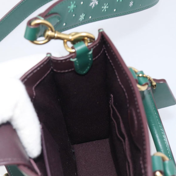 Coach Disney Collaboration Shoulder Bag Leather Green Gold Tone Auth 213833A