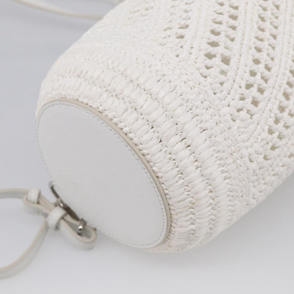 LOEWE Bracelet Pouch Shoulder Bag Raffia White Silver Auth 214285M