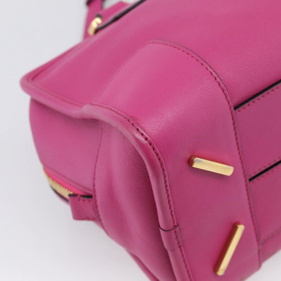 LOEWE Amazona 28 Hand Bag Leather 2way Pink Gold Auth 214312V