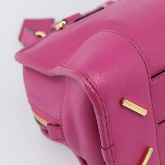 LOEWE Amazona 28 Hand Bag Leather 2way Pink Gold Auth 214312V