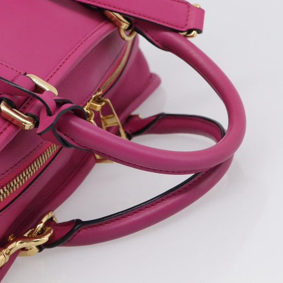 LOEWE Amazona 28 Hand Bag Leather 2way Pink Gold Auth 214312V