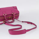 LOEWE Amazona 28 Hand Bag Leather 2way Pink Gold Auth 214312V-9