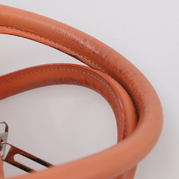LOEWE Amazona 36 Hand Bag Leather Orange Silver Auth 214659A