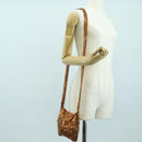 LOUIS VUITTON Monogram Mesh Frances Shoulder Bag Sequin M92287 LV Auth 44524SM-22