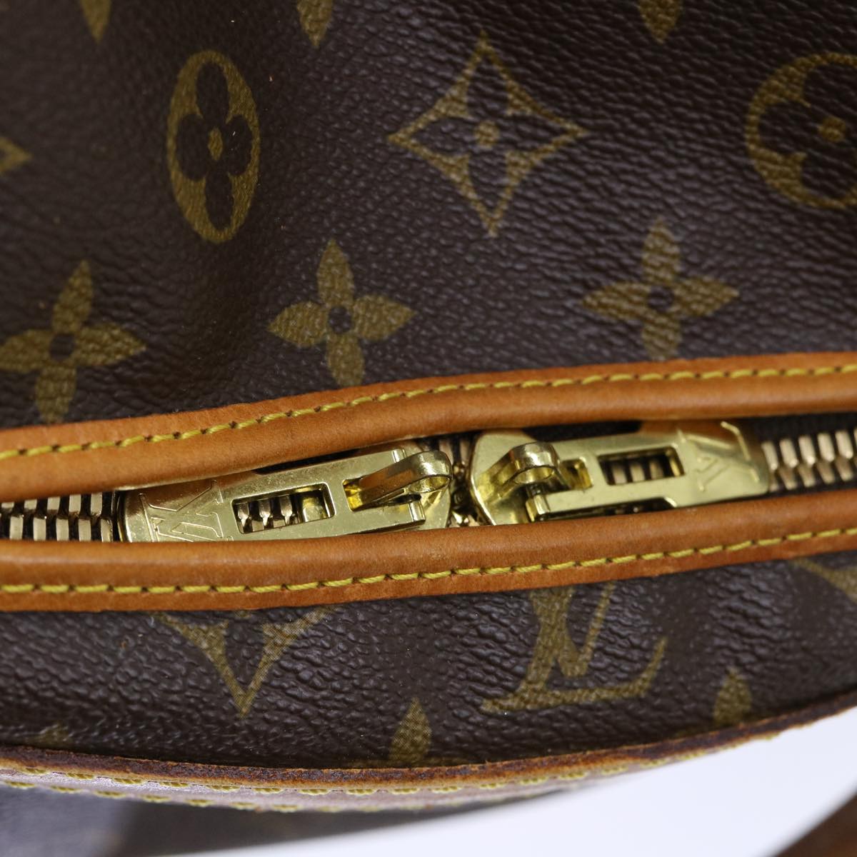 LOUIS VUITTON Monogram Sac Shan 40 Pet Carry M42024 LV Auth 50734