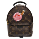 LOUIS VUITTON Monogram Palm Springs MINI Backpack M41562 LV Auth 51688SM-13