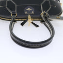 LOUIS VUITTON Catgram Alma Souple Hand Bag 2way Black M44403 LV Auth 52542SM-7