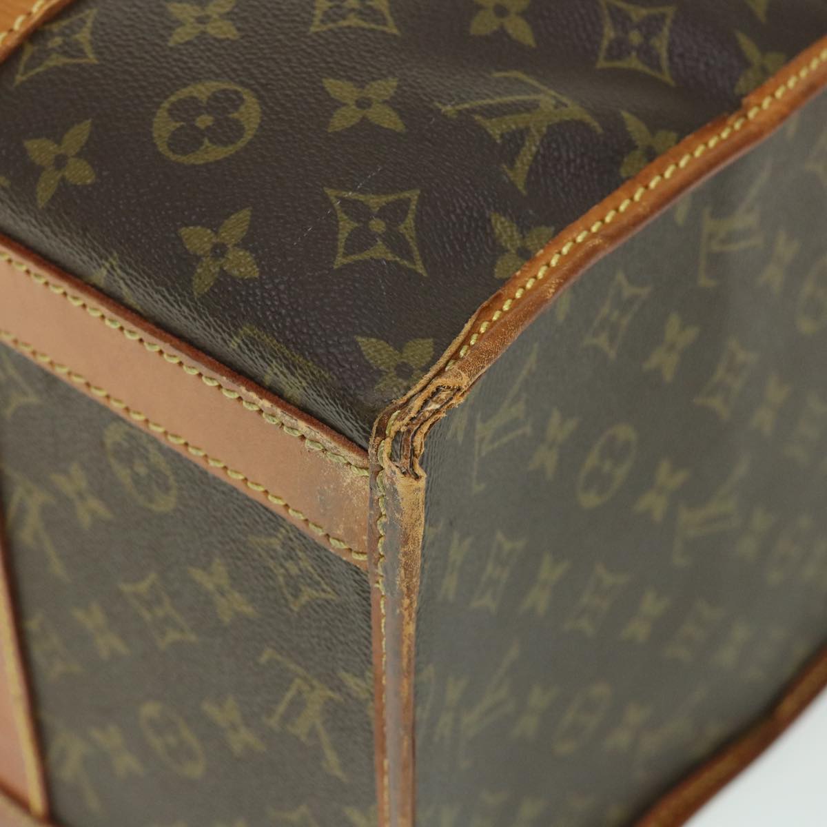 LOUIS VUITTON Monogram Sac Demi Souple 45 Pet Carry LV Auth 53854