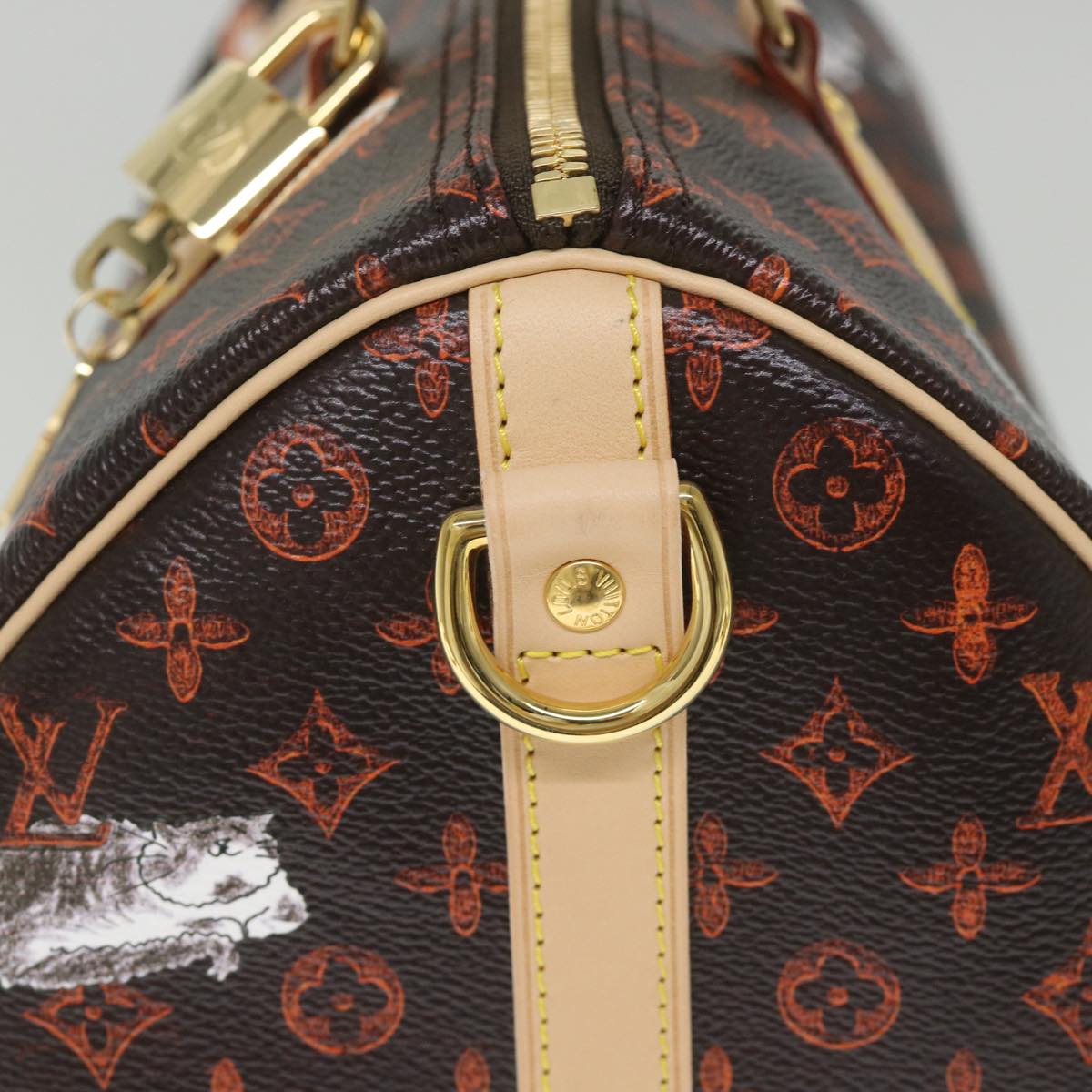 LOUIS VUITTON Catgram Speedy Bandouliere 30 Hand Bag Brown M44401 LV Auth 56154A