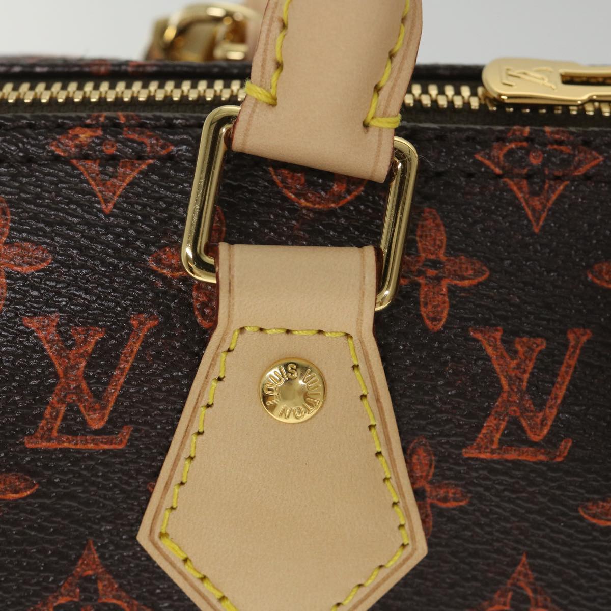 LOUIS VUITTON Catgram Speedy Bandouliere 30 Hand Bag Brown M44401 LV Auth 56154A