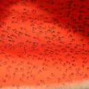 LOUIS VUITTON Catgram Speedy Bandouliere 30 Hand Bag Brown M44401 LV Auth 56154S-10