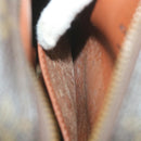 LOUIS VUITTON Monogram Danube Shoulder Bag M45266 LV Auth 57436-11