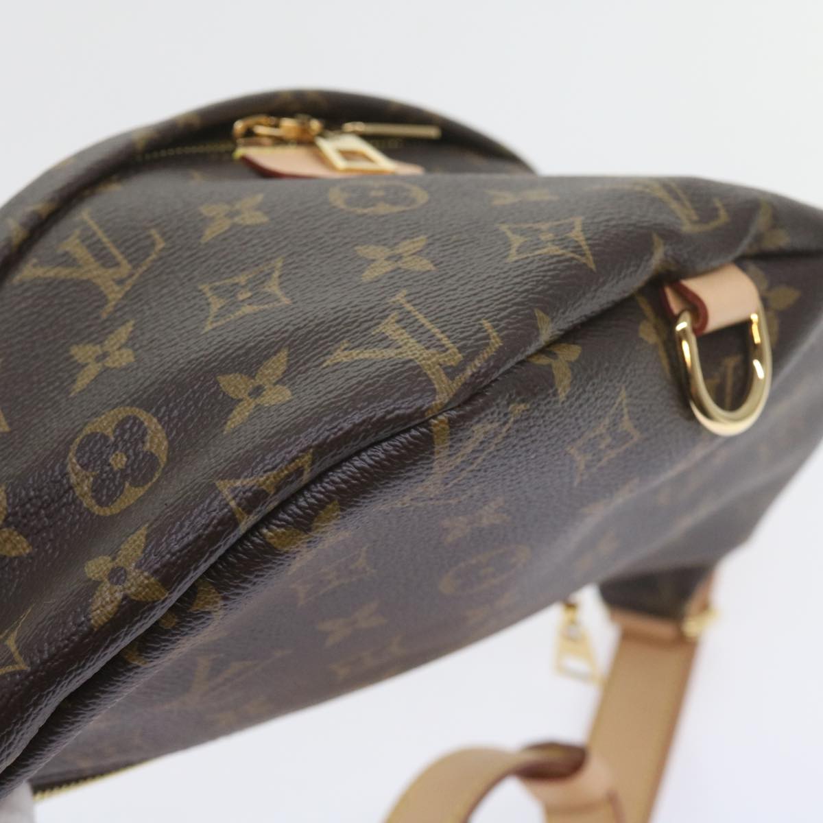 LOUIS VUITTON Monogram Bum Bag Shoulder Bag M43644 LV Auth 59863S