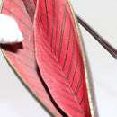 LOUIS VUITTON Damier Ebene Neverfull MM Pouch Accessory Pouch LV Auth 63478-21