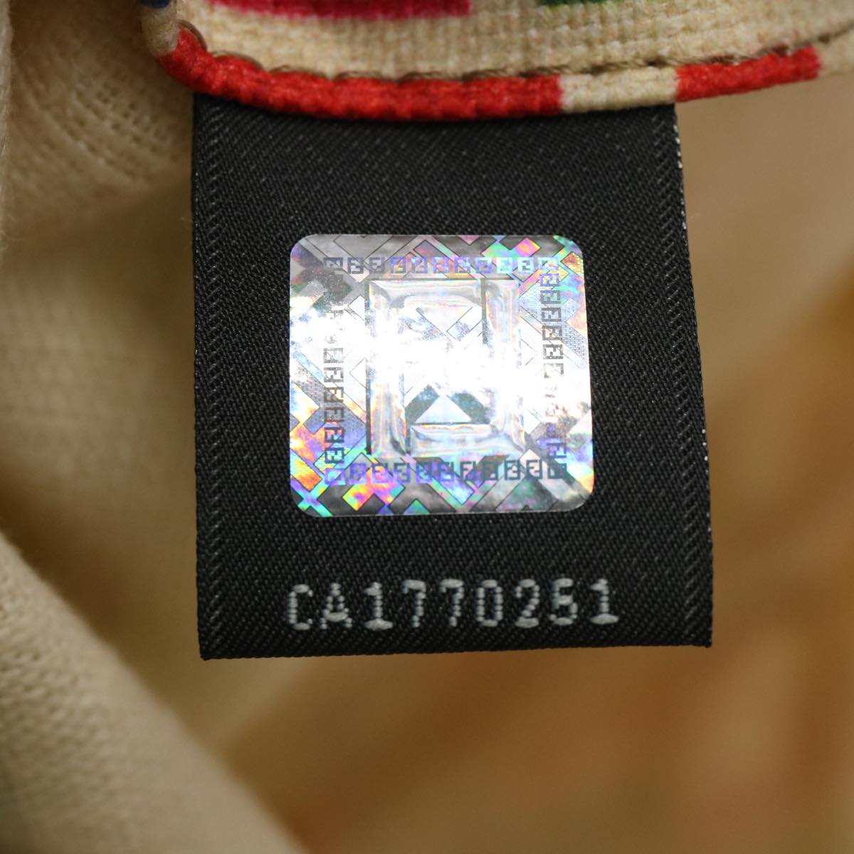 FENDI Zucca Canvas Hand Bag Multicolor Auth 65016