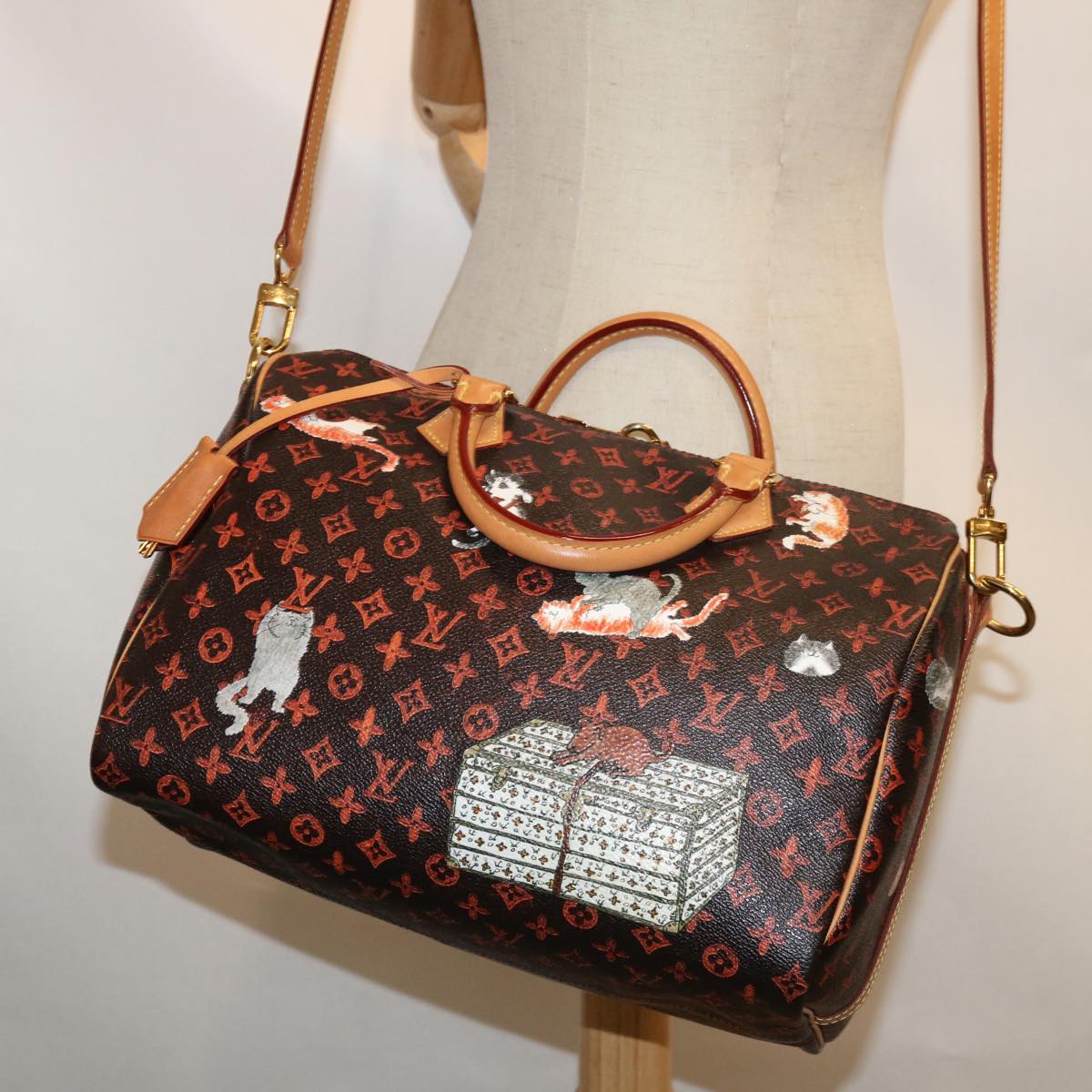 LOUIS VUITTON Catgram Speedy Bandouliere 30 Hand Bag Brown M44401 LV Auth 66796A